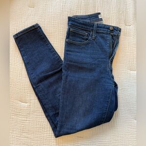 Madewell Curvy High Rise Skinny Jean
